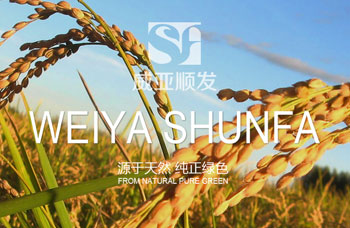 熱烈祝賀江蘇順發(fā)米業(yè)有限公司網(wǎng)站全新上線?。。? /></A>    
     <div   id=